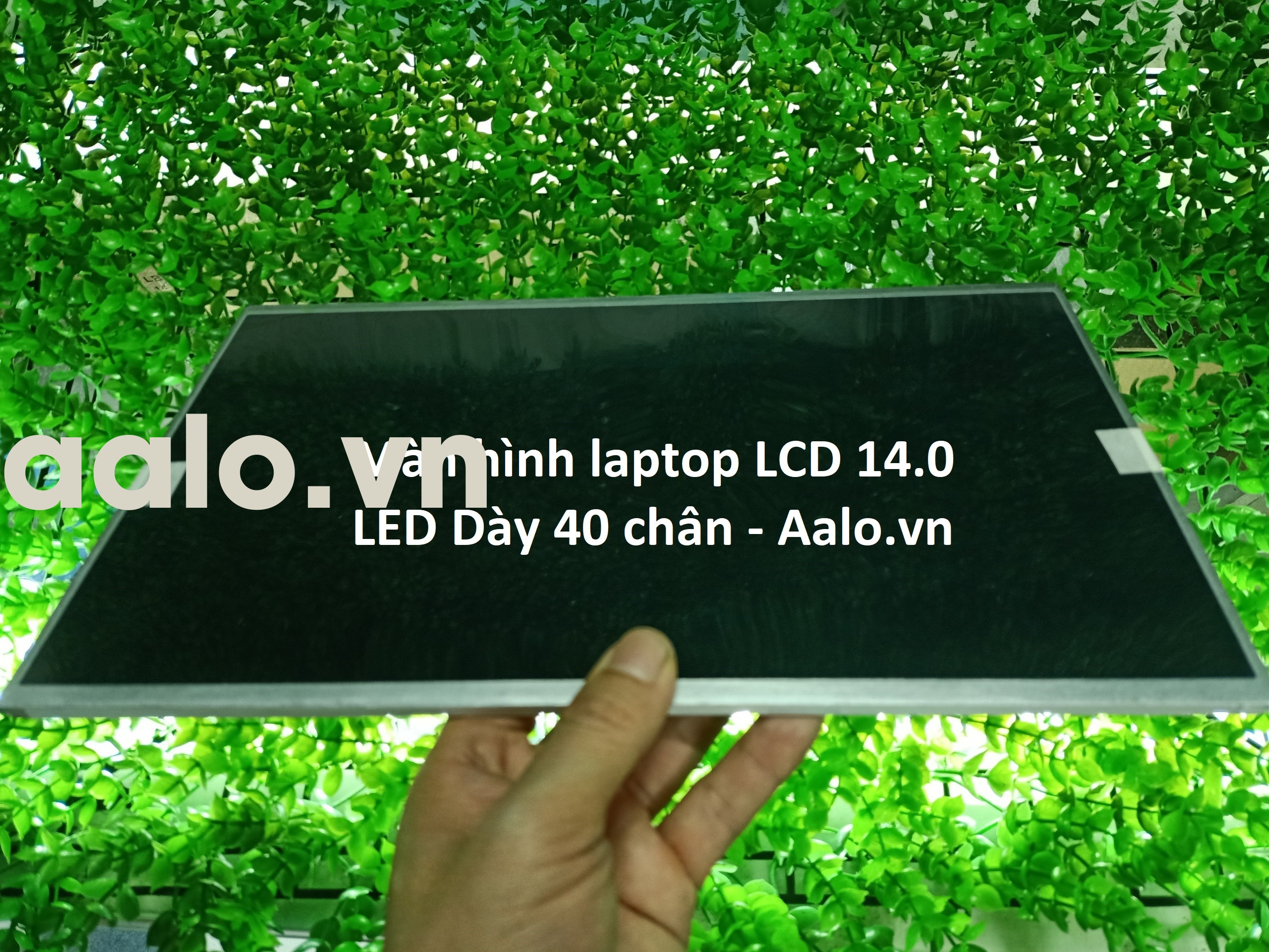 Màn hình Laptop Samsung NP-RV409 Series